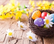 Buona Pasqua alle socie ADBI e alle loro famiglie …