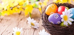 Buona Pasqua alle socie ADBI e alle loro famiglie …