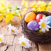 Buona Pasqua alle socie ADBI e alle loro famiglie …